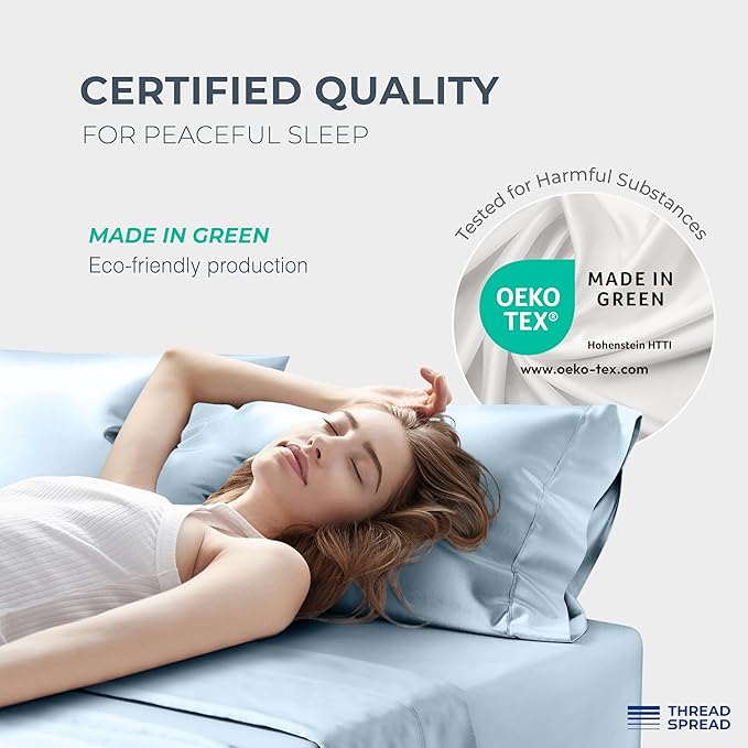 THREAD SPREAD 100% Egyptian Cotton Pillow Cases Queen Size Set of 4 - Luxury 1500 Series Queen Pillow Cases (Light Blue), Soft Cooling Envelope Closure Hotel Quality Egyptian Cotton Pillowcases