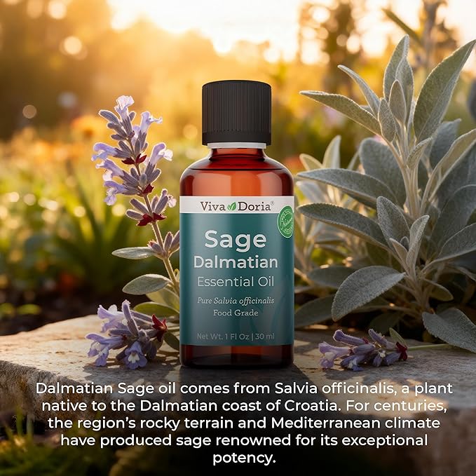 Viva Doria Sage Essential Oil, 100% Pure, Natural, Dalmatian Sage Essential Oil, Undiluted, for Aromatherapy | Food Grade, 30 mL (1 Fluid Ounce)