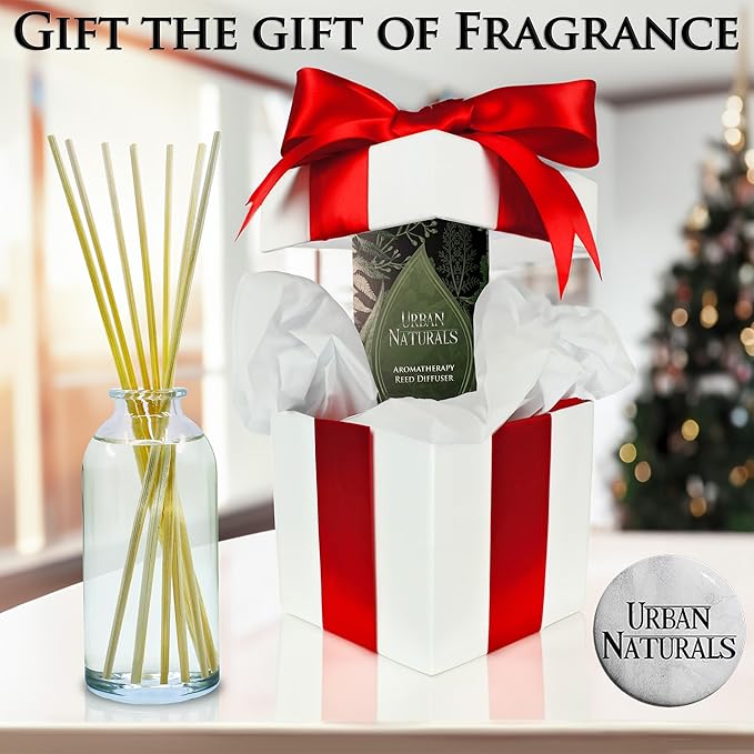 Urban Naturals Vanilla Lime Reed Diffuser Set | Made with Essential Oils | Zesty Lime, Sweet Cane Sugar, Creamy Vanilla & Tonka Bean | Made in the USA