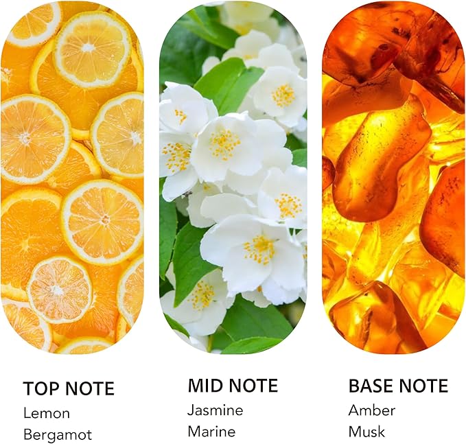Luxury Hotel Scent Ritz Carlton Diffuser Oil 500ml/16.9Fl Oz Long-Lasting Essential Oil Refill for HVAC Systems, Home & Spa Use l Waterless Essential Aromatherapy