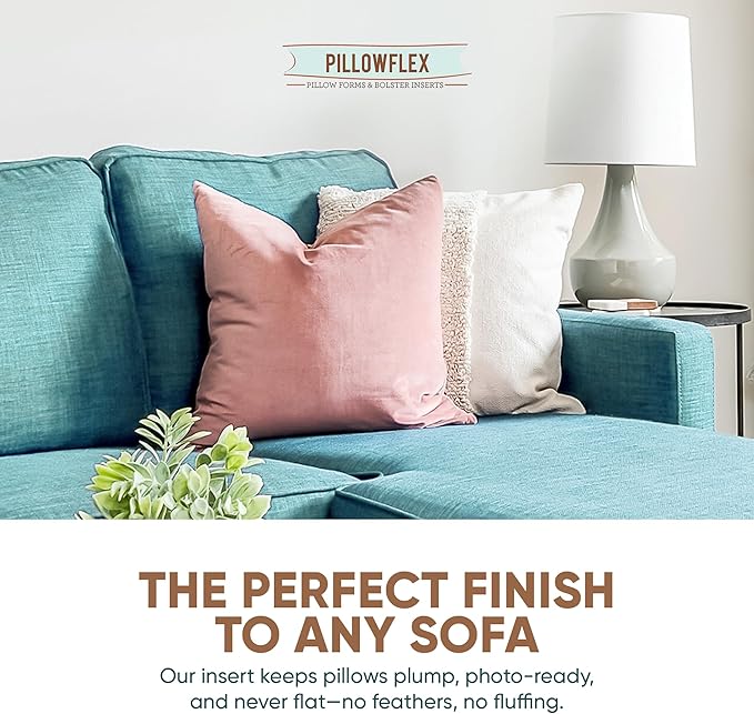 Pillowflex Synthetic Down Pillow Insert - 19x19 Down Alternative, Ultra Soft Throw Pillow, Couch Sham, Bed Sleeping Accent Pillow - 1 Decorative Accent Form