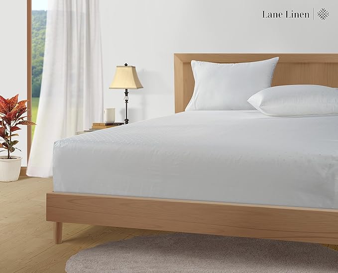LANE LINEN Pillows Queen Size Set of 2, Soft 100% Egyptian Cotton, Cool & Smooth Pillow Cases - Swiss Dot - White