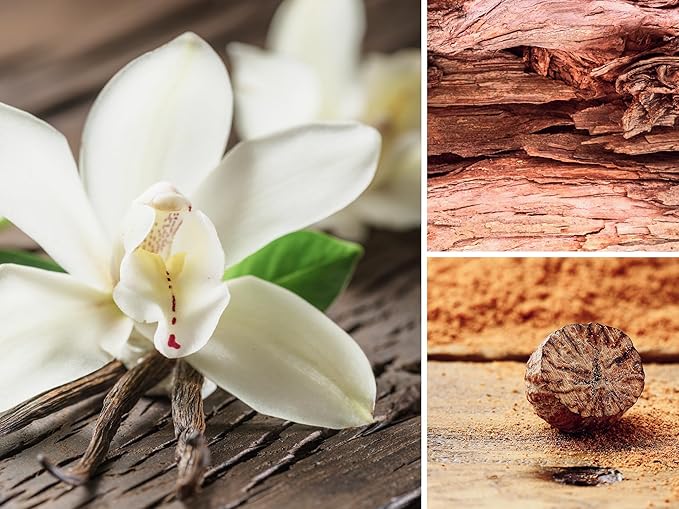Aera Mini Velvet Woods – Smart Home Fragrance Capsule Refill – Notes of Vanilla Orchid, Nutmeg & Sandalwood – Woody Fresh Essential Oil Scent – Capsule Size Fits Aera Mini Diffuser