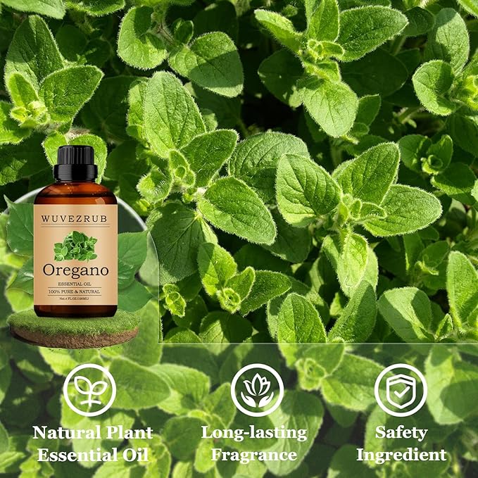 Oregano Essential Oils 120ML, Pure Oregano Essential Oil for Aromatherapy Diffuser - 4 Fl Oz