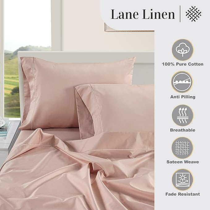 LANE LINEN Pillows Queen Size Set of 2 Soft 100% Egyptian Cotton Cool & Smooth Pillow Cases - Sepia Rose