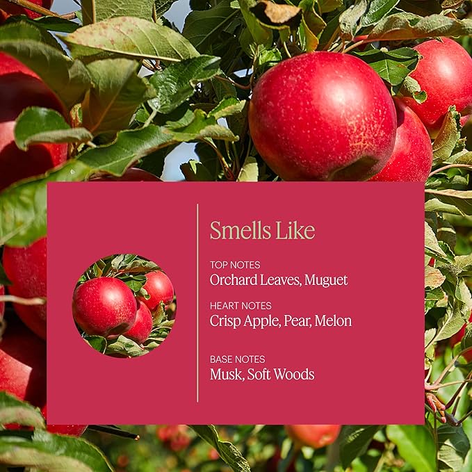 Aera Mini Apple Orchard - Essential Oil for Home - Fruity Crisp Fragrance - Notes of Macintosh Apple and Orchard Leaves - Scent Refill - Works with Mini Diffuser