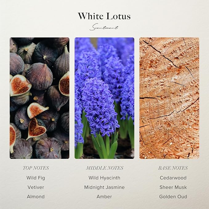 Scentiment White Lotus Diffuser Oil – Wild Fig, Vetiver, Almond, Sandalwood Scent for Diffusers, Fragrance Oil – 1.69 fl oz (50 mL)