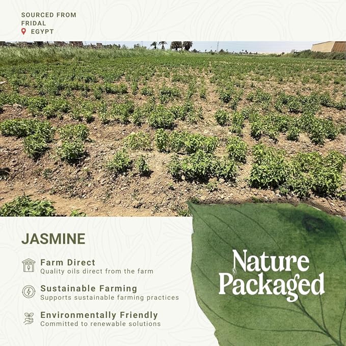 Jasmine Essential Oil - Direct from Fridal Egypt - Steam Distilled - Aceite de Jazmín for Aromatherapy, Massage, Diffuser, DIY Candle and Soap Making - 2 lbs