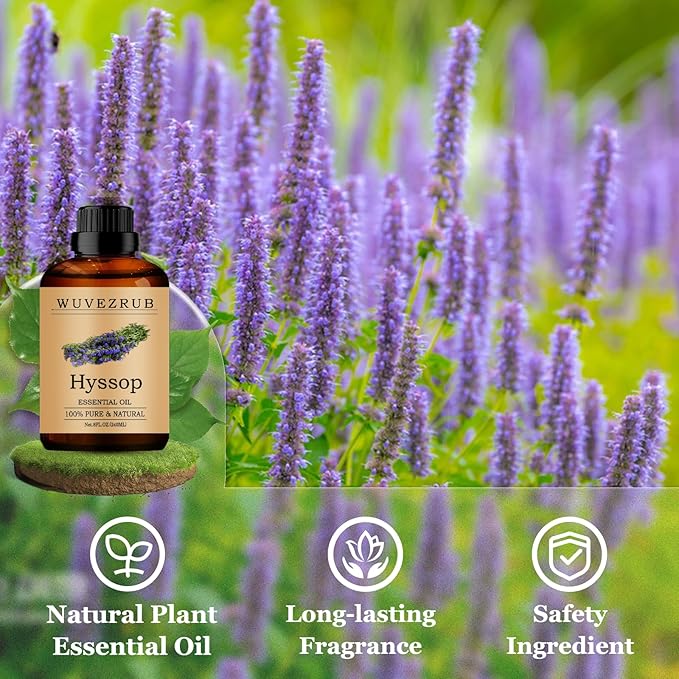 Hyssop Essential Oils 240ML, Pure Hyssop Essential Oil for Aromatherapy Diffuser - 8 Fl Oz