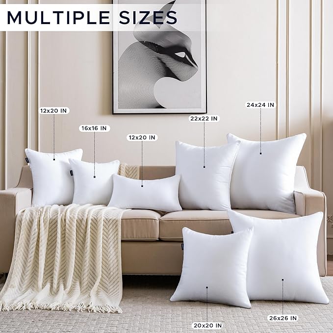 22 x 22 Pillow Inserts Set of 4 Down Alternative Throw Pillow Inserts Large Fluffy Decorative Pillow White Square Pillows Stuffing for Living Room Couch Bed Sofa Interior Cushions