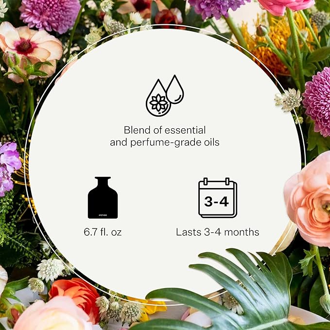 Apotheke Luxury Scented Oil Reed Diffuser Liquid Refill (Canvas) - Premium Home Fragrance Diffuser Refill Set with Sticks