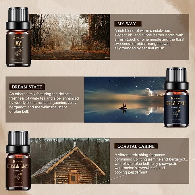 Hotel Collection Diffuser Oil, Hotel Diffuser Oils, Luxury Essential Oil for Diffuser, Soap & Candle Making Scents - 1 Way, Dream State, Coastal Cabine, Gloden Magic