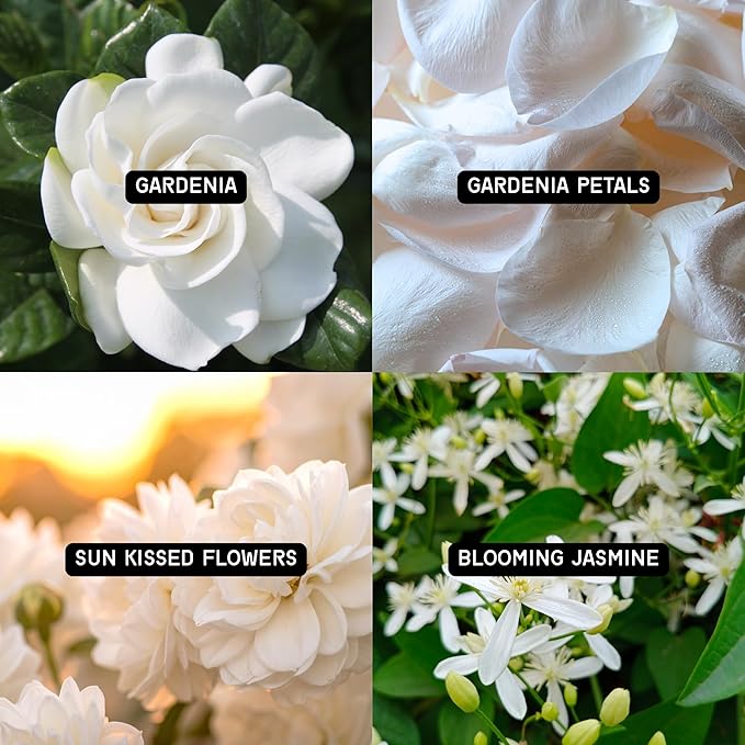 DW Home Reed Diffuser Set Fresh Cut Gardenia Scent for Bathroom Accessories Shelf Decor & Air Fresheners, 3.3 oz Essential Oils, House Bedroom Office Decor & Gift