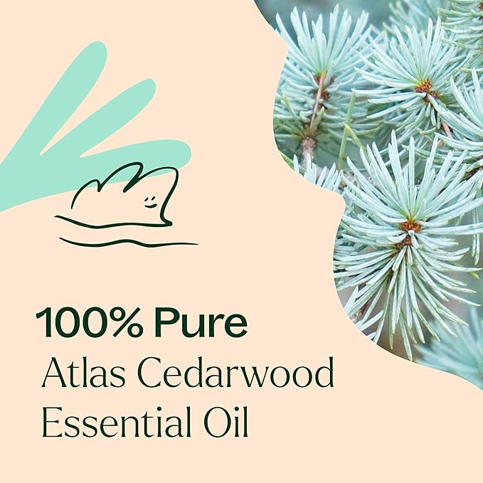 Plant Therapy Organic Atlas Cedarwood Essential Oil, 10 mL (1/3 oz), 100% Pure and Undiluted, USDA Certified Organic, for Essential Oil Diffusers and DIY Skincare