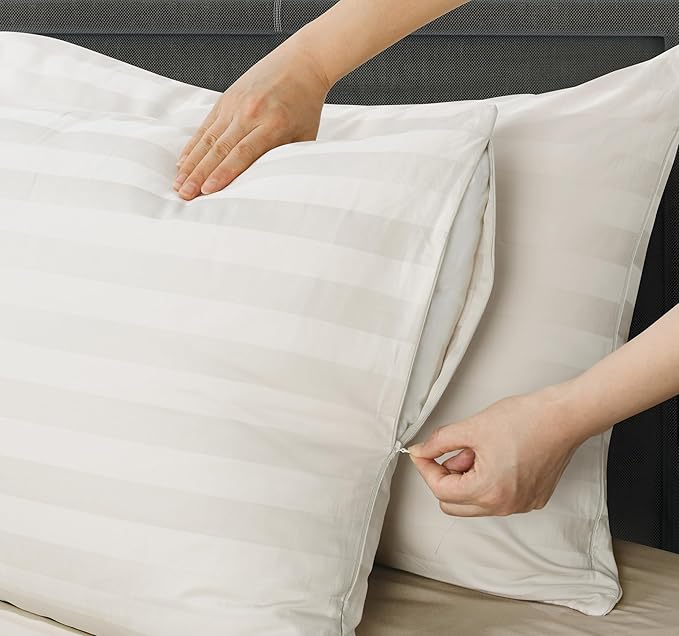 Pillow Protector Queen Size 100% Egyptian Cotton Pillow Covers, 400 Thread Count Sateen Weave Pillow Cases with Zipper Hidden, Breathable Non Noisy Easy Care, Set of 2 (Striped Light Beige)
