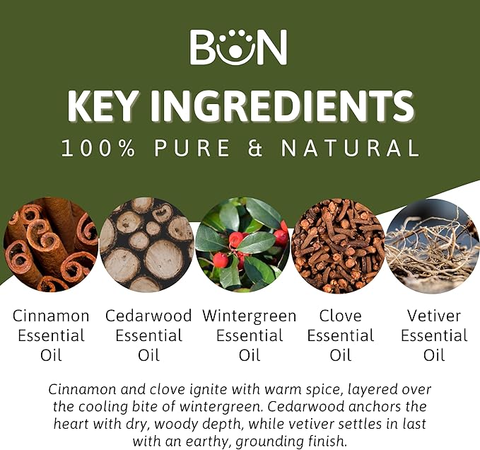 Best of Nature Eastern Essential Oil Blend – 100% Pure for Diffuser, Aromatherapy & Daily Rituals – Spicy, Exotic Aroma with Cinnamon, Cedarwood, Wintergreen, Clove & Vetiver