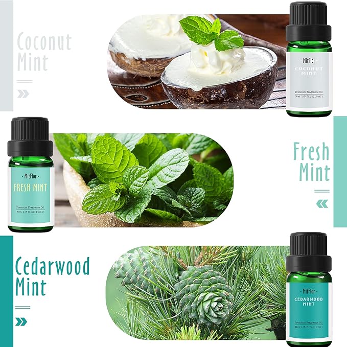 Fragrance Oils Set of Mints, MitFlor Premium Scented Oils for Diffuser, Soap & Candle Making Scents, Refreshing Home Fragrance, Aromatherapy Oil Gift Set, Cedarwood Mint, Coconut Mint and More, 6x10ml
