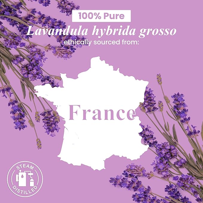 Handcraft Blends Relaxing Air Set: Lavender and Eucalyptus Essential Oils – (2 x 4 Fl Oz) – 100% Pure & Natural – for Diffuser, Aromatherapy, and DIY Projects