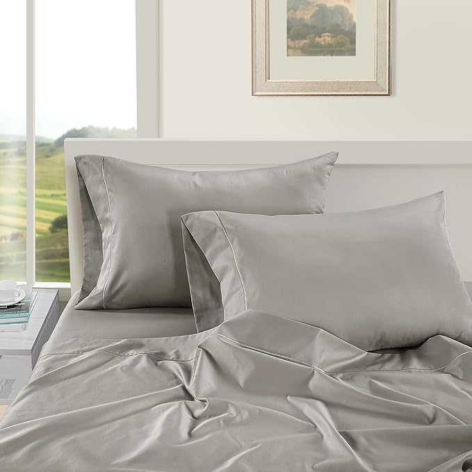LANE LINEN Pillows Queen Size Set of 2 Soft 100% Egyptian Cotton Cool & Smooth Pillow Cases - Silver