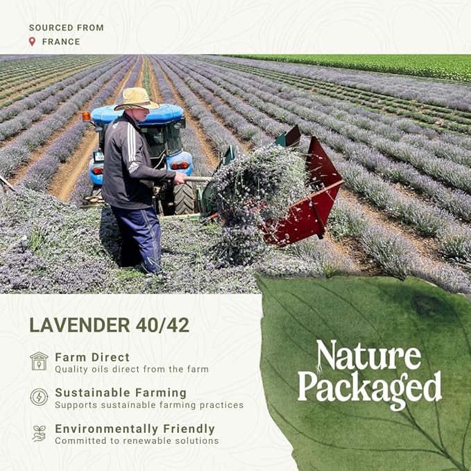 Lavender 40/42 Essential Oil Direct from France - Essential Oil for Candle Making and Soaps - Pure Lavender 40/42 Oil for Aromatherapy, Skincare, Haircare, Perfumes (2lbs)