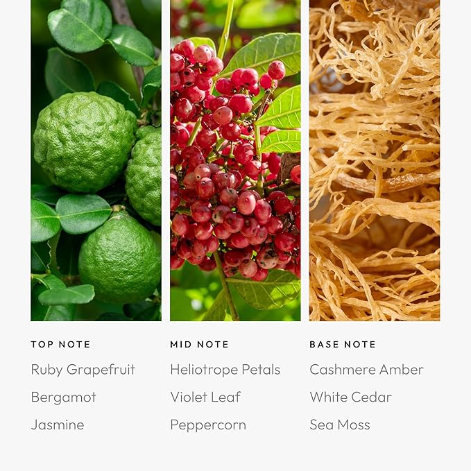 Aroma360 Pro Pod - Fragrance Oil Inspired by Red Parfum - Scent Includes Ruby Grapefruit, Heliotrope Petals, Amber & Sea Moss - Red, 50mL/1.7 fl oz