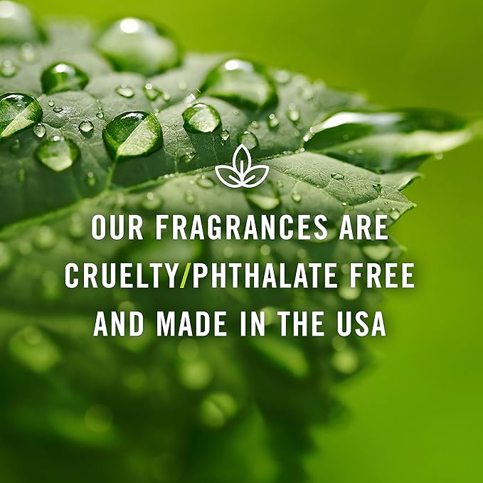 P&J Trading Fragrance | Chai Tea Oil 30ml - Candle Scents for Candle Making, Freshie Scent, Soap Making Supplies, Diffuser Oil Scents