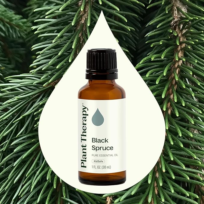 Plant Therapy Black Spruce Essential Oil 30 mL (1 oz) 100% Pure, Undiluted, Aromatherapy, Respiratory Support, Sore Muscle Relief