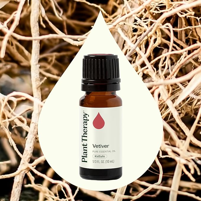 Plant Therapy Vetiver Essential Oil, 10 mL (1/3 oz), 100% Pure and Undiluted, Great for Essential Oil Diffusers and DIY Skincare