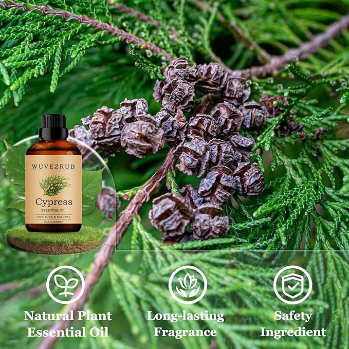 Cypress Essential Oils 60ML, Pure Cypress Essential Oil for Aromatherapy Diffuser - 2 Fl Oz