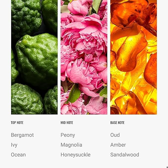 Hotel Collection Diffuser Oil - Island Life - Aromatherapy Essential Fragrance Oil - Ocean, Sandalwood and Honeysuckle - 120ML 4.1 Fl oz