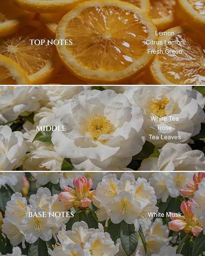 Aromadd Aromadd White Tea Diffuser Oil Inspired by Luxury Hotel Scent, Essential Oils for Waterless Diffuser, White Tea & Bergamot, Long-Lasting & Natural Home Fragrance - 3.38 fl oz (100 mL)