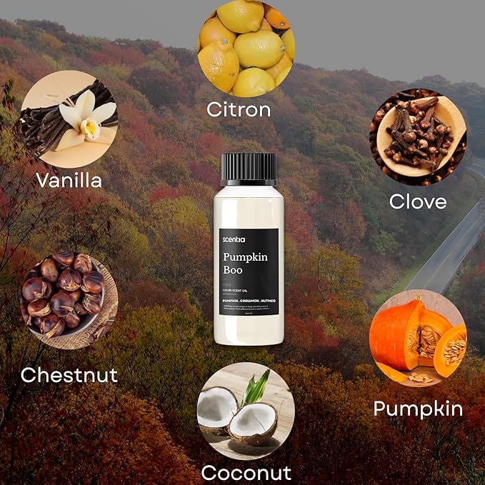 Scentia Pumpkin Boo Fragrance Oil for Diffusers – Pumpkin Spice Vanilla Home Fragrance Oil for Aromatherapy, Candle Making & DIY Projects – Warm Sweet Gourmand Scent Oil – 120 ml