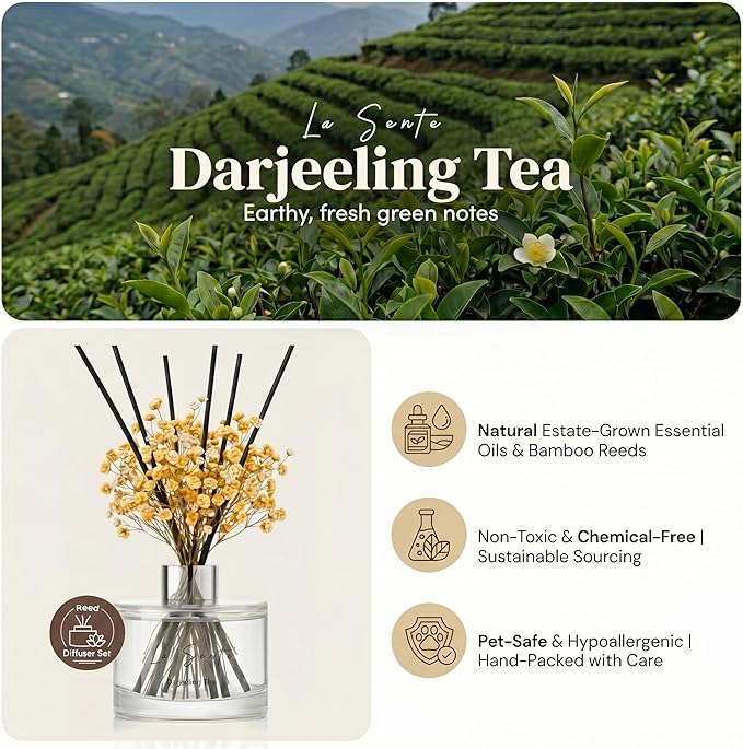 Reed Diffuser Set (6.7fl oz), Natural Darjeeling Tea Essential Oil Fragrance with Glass Bottle, Black Rattan Sticks & Preserved Flowers, Up to 120 Days Lasting Fragrance for Home & Office