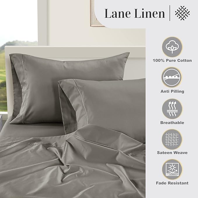 LANE LINEN Pillows Queen Size Set of 2 Soft 100% Egyptian Cotton Cool & Smooth Pillow Cases - Charcoal