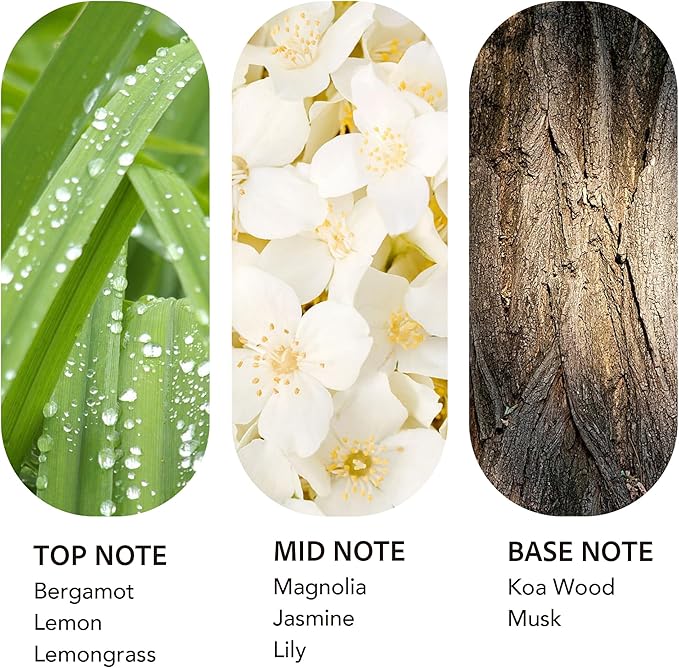 Luxury Hotel Scent 24K Aura 500ml/16.9Fl oz Diffuser Oil Waterless Essential Aromatherapy for Cold Air & Car Diffusers – Long Lasting Refill for Large Room & Home - Signature Lemongrass