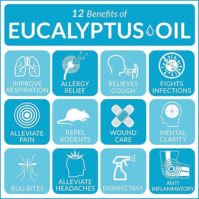 artnaturals 100% Pure Eucalyptus Essential Oil - (.5 Fl Oz / 15ml) - Undiluted Therapeutic Grade Fragrance - Soothe Calm and Humidify - for Aromatherapy Diffuser, Steam Room, Suana, HUmidifier