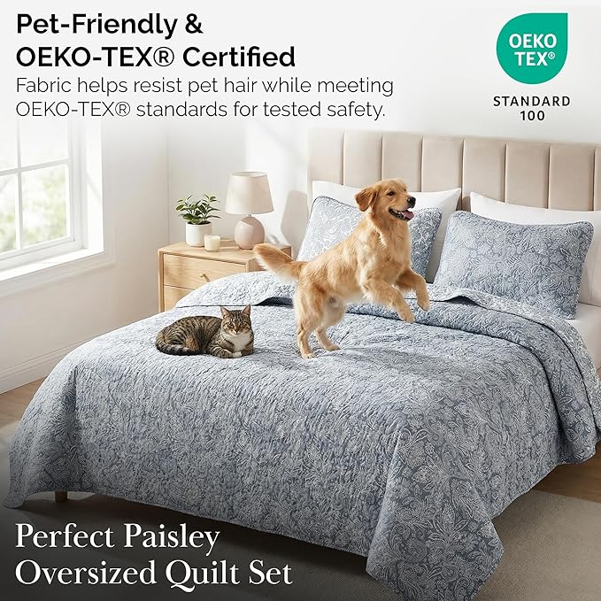 Southshore Fine Living, Inc. Twin XL Quilt Bedding Set, Dorm Bedding Essentials, 2-Sided Reversible, Stain Resistant, Machine Washable Paisley Bedspread, Twin XL Comforter w/Pillow Sham, Paisley Blue