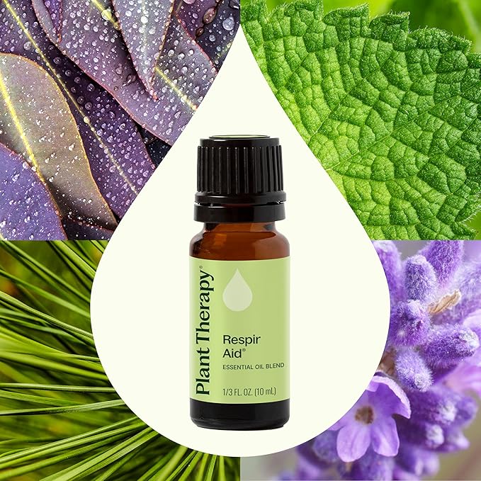 Plant Therapy Respir Aid Essential Oil Blend, 10 mL (1/3 oz), Sinus, Airway and Congestion Clearing Oil Blend, 100% Pure and Undiluted, Natural Aromatherapy