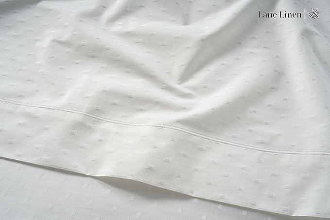 LANE LINEN Pillows Queen Size Set of 2, Soft 100% Egyptian Cotton, Cool & Smooth Pillow Cases - Swiss Dot - White