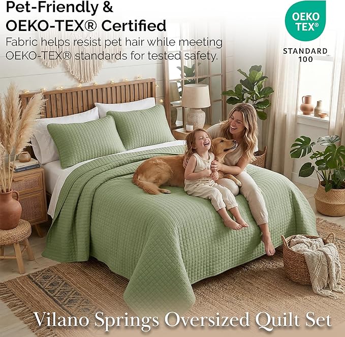 Southshore Fine Living, Inc. Bed Quilts Queen Size Set, Pet Hair Resistant Bedding, Soft Coverlet Queen Size, Full Quilt Set with 2 Pillow Shams, Lightweight Full Bedspread, Sage Green Quilt