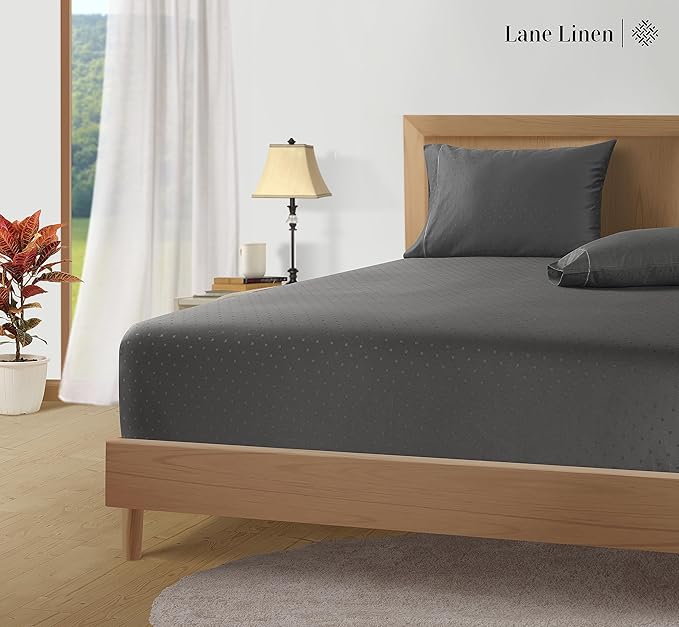 LANE LINEN Pillows Queen Size Set of 2, Soft 100% Egyptian Cotton, Cool & Smooth Pillow Cases - Charcoal